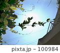 夏シルエット*