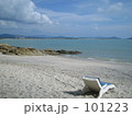 海1