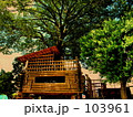 Tree House.