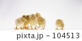 ひよこ ひよこ