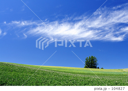 爽空 爽空