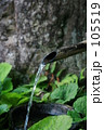 水