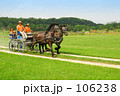 ２頭立馬車