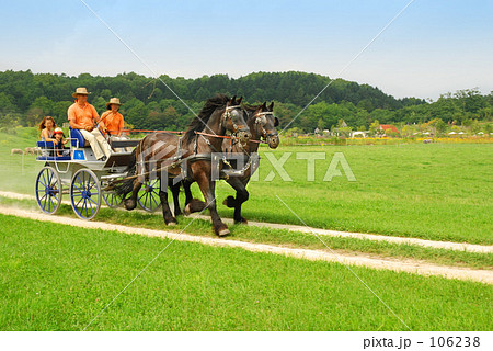 「２頭立馬車」の写真素材