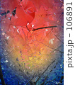 透明な秋の道