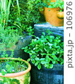 GARDEN GARDEN