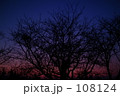 平和台の夕暮れ