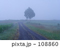 朝霧の道