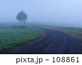 朝霧の中を