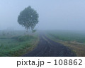 朝霧を走る