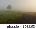朝霧の中を