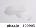 素材ナンバー 109903 : 「純白の羽」