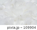 素材ナンバー 109904 : 「純白の羽いっぱい」