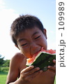 夏の少年
