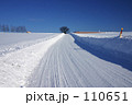 冬のセブンスターの木