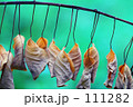 加速する秋