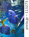 ｆ0577
