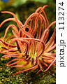ｆ0578