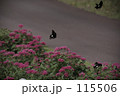 0236