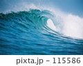 SURF