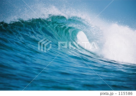 「SURF」の写真素材