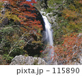 紅葉　秋　滝