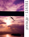 Spider's silhouette