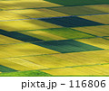 実りの季節