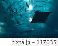 沖縄の色。