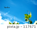 秋空
