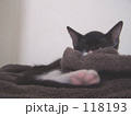 素材ナンバー 118193 : 「肉球」