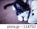伺う