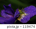 119474
