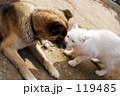 119485