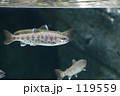 ｆ0593