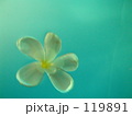 水に浮かぶ。。。
