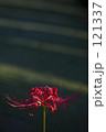 0250