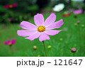 121647