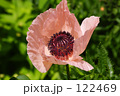 けし