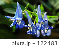 えぞえんごさく