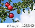 リンゴと青空