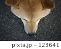 おっとっと