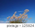 秋の空