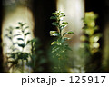 ちょっとしたこと。
