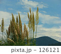 秋空と・・・