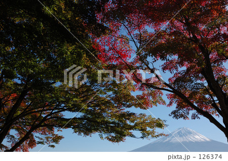秋と富士山 秋と富士山