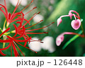 Come* True...Peace of Mind.銀塩.