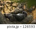 人間になった瞬間