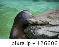 おやすみなさい
