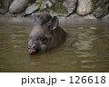 泳ぐの得意！